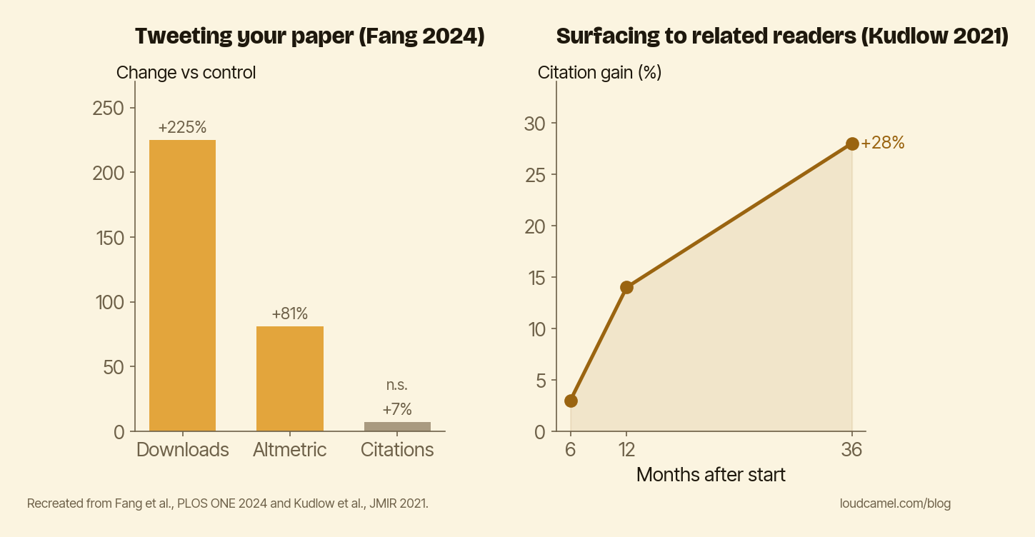 Two randomized trials: tweeting your own paper (Fang 2024) raised downloads but not citations, while surfacing papers to readers of related work (Kudlow 2021) raised citations about 28%.