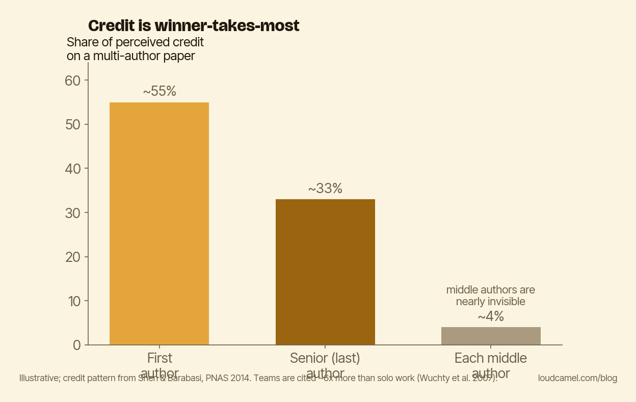 On a multi-author paper, perceived credit concentrates on the first and senior authors, while middle authors are nearly invisible.
